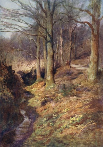 森の中で春が目覚めるとき 作： Ernest Benger or Berenger